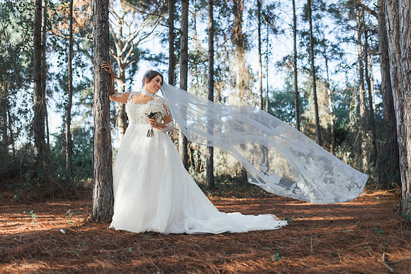 9-20-25_ELLANISA BRIDAL-657