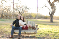 2016_02_08 Ruiz Christina Engagement-411