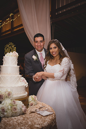 02_25_17 3 Jennifer & Raul Wedding Reception-331-2
