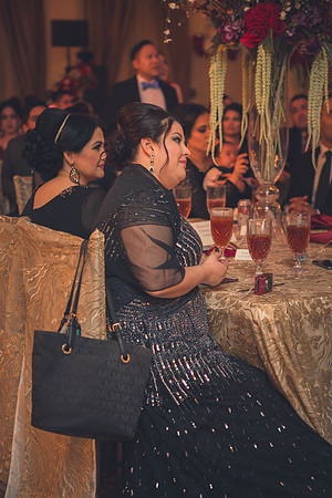 02_18_17 3 Sicily & Josh Wedding Reception-124