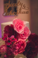 02_18_17 3 Sicily & Josh Wedding Reception-58