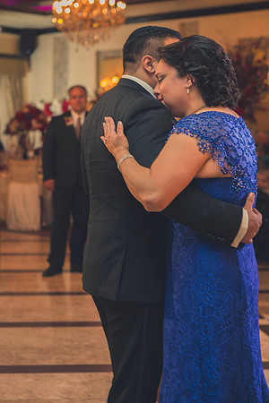02_18_17 3 Sicily & Josh Wedding Reception-73-2