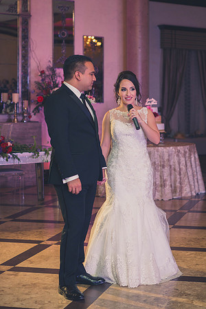 02_18_17 3 Sicily & Josh Wedding Reception-524