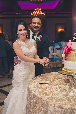 02_18_17 3 Sicily & Josh Wedding Reception-426
