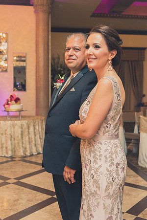 02_18_17 3 Sicily & Josh Wedding Reception-231