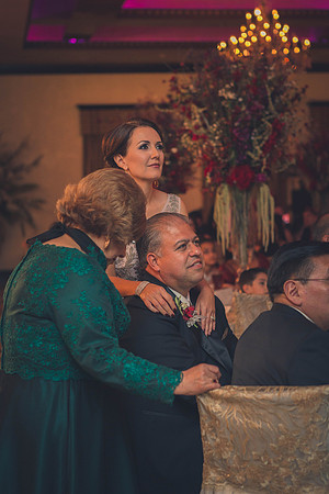 02_18_17 3 Sicily & Josh Wedding Reception-108