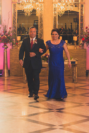 02_18_17 3 Sicily & Josh Wedding Reception-203