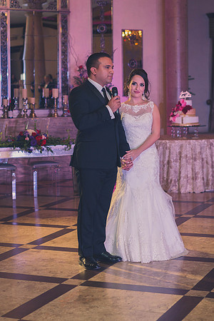 02_18_17 3 Sicily & Josh Wedding Reception-521