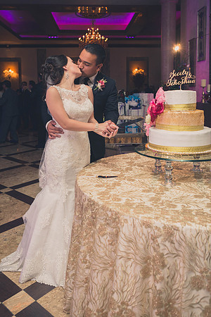 02_18_17 3 Sicily & Josh Wedding Reception-430