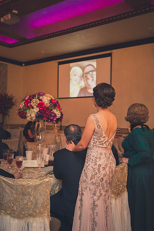 02_18_17 3 Sicily & Josh Wedding Reception-122