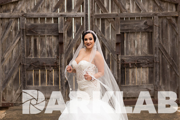 01_20_17 Criselda Bridals-16