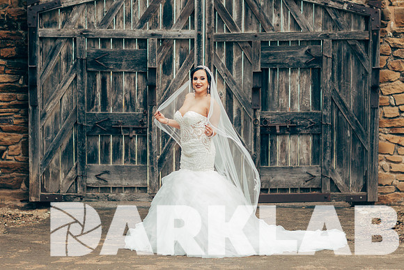 01_20_17 Criselda Bridals-235