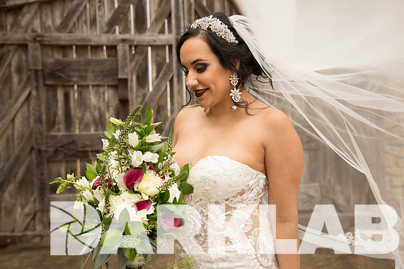 01_20_17 Criselda Bridals-100