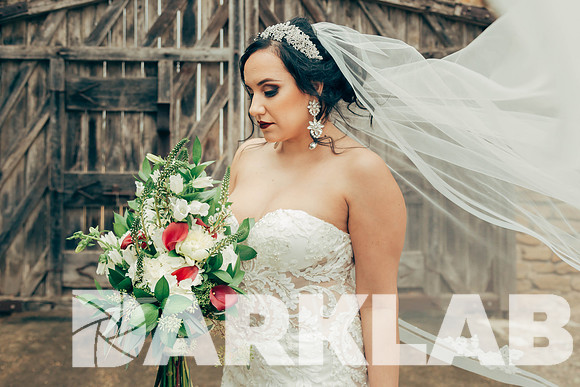 01_20_17 Criselda Bridals-112