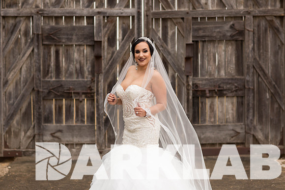 01_20_17 Criselda Bridals-38