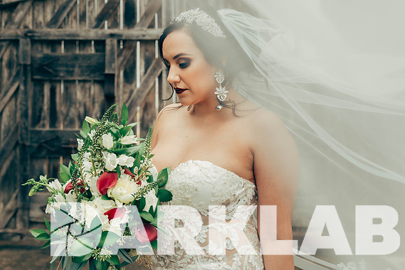 01_20_17 Criselda Bridals-200