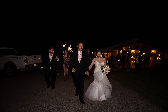 04_22_16 Sparks wedding_reception and exit-354