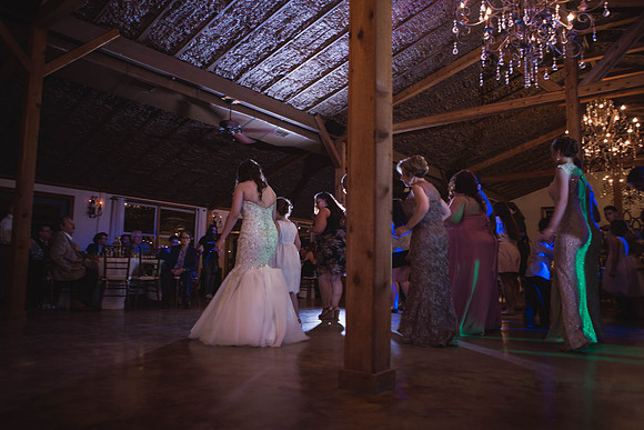 04_22_16 Sparks wedding_reception and exit-34