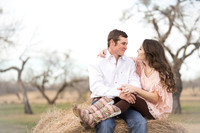 2016_02_08 Ruiz Christina Engagement-91