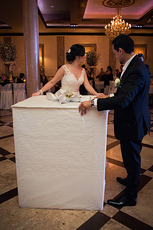 12_17_16 Cynthia & Oziel Wedding Reception-419