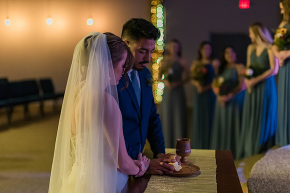 1-5-18_Fran And Nicole Wedding-593