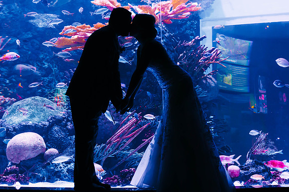 10-13-2018_Elizabeth and Ricardo-126