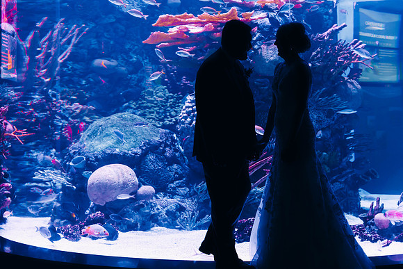 10-13-2018_Elizabeth and Ricardo-115