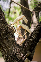 8-10-2019_CASSANDRA AND ADOLF WEDDING-1189