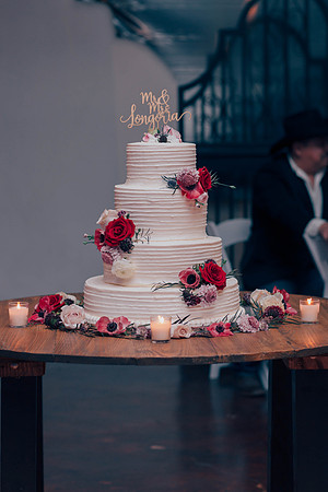 1-6-18-lauren and Victor wedding-250-2