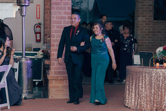1-6-18-lauren and Victor wedding-163-2