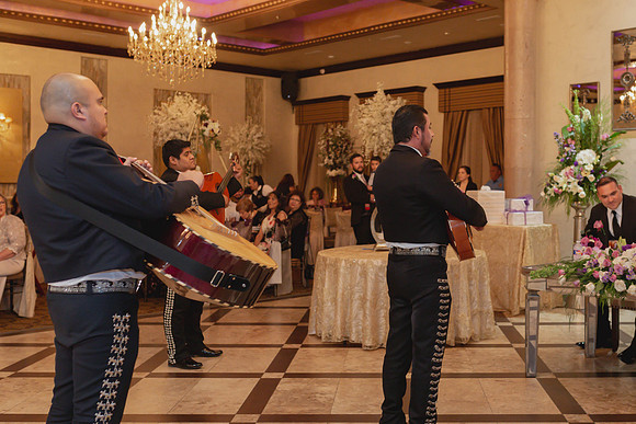 4-6-2019_Denise and Juan Wedding-1115