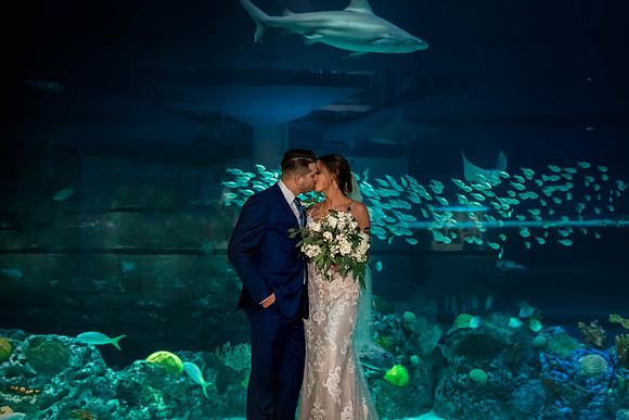 3-2-2019_Whitney and Scott-16-2-Edit