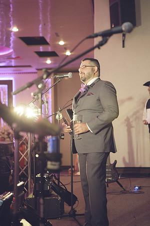 11_04_16 Karina and Joey Wedding Reception-167-2