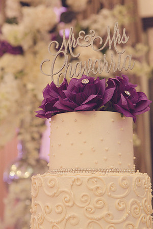 11_04_16 Karina and Joey Wedding Reception-52-2