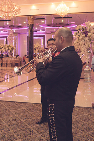 11_04_16 Karina and Joey Wedding Reception-44-2