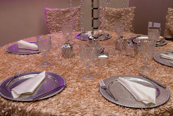 11_04_16 Karina and Joey Wedding Reception-24-2