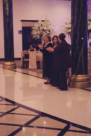 11_04_16 Karina and Joey Wedding Reception-118-2