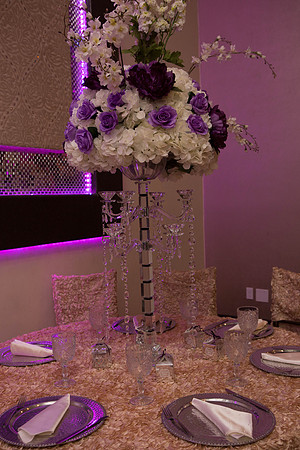 11_04_16 Karina and Joey Wedding Reception-19-2