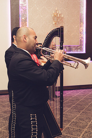 11_04_16 Karina and Joey Wedding Reception-36-2