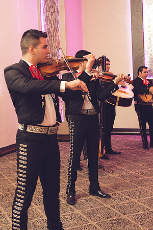 11_04_16 Karina and Joey Wedding Reception-33-2