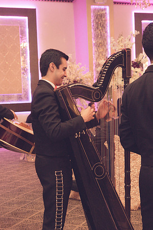 11_04_16 Karina and Joey Wedding Reception-45-2