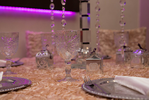 11_04_16 Karina and Joey Wedding Reception-25-2
