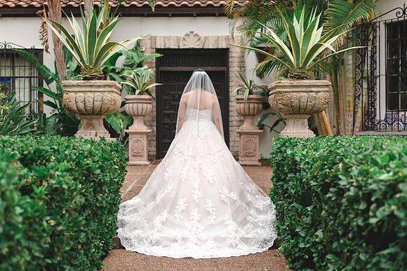 2-22-2019_Denise Bridals-112