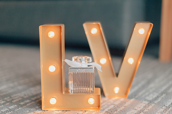 1-6-18-lauren and Victor wedding-291-3