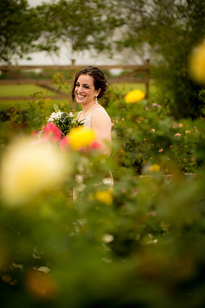 03_28_17 Sofia Bridals-194