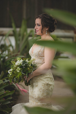 03_28_17 Sofia Bridals-55