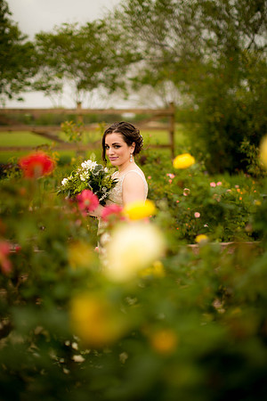 03_28_17 Sofia Bridals-190