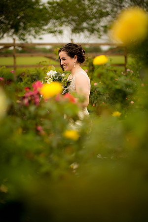 03_28_17 Sofia Bridals-193