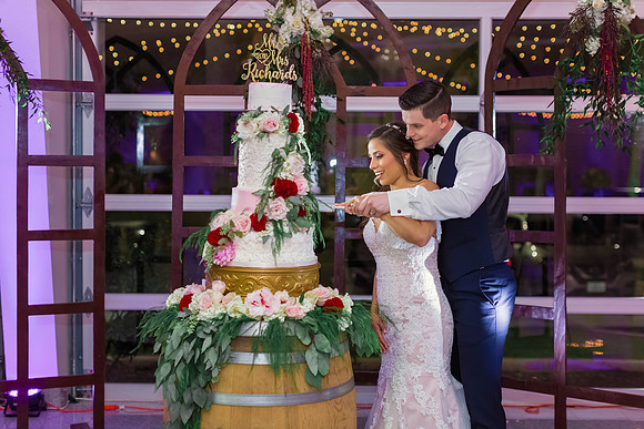 12-1-2018_Mina and Jason Say I Do_-1059