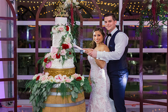 12-1-2018_Mina and Jason Say I Do_-1053